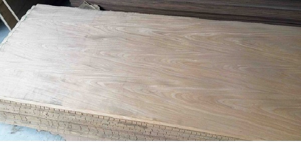 hình phân biệt các loại gỗ công nghiệp 6